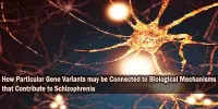 How Particular Gene Variants may be Connected to Biological Mechanisms that Contribute to Schizophrenia