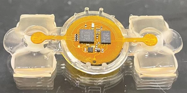Microelectronics give researchers a remote control for biological robots