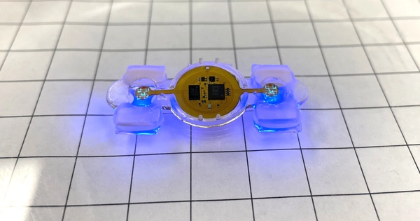 Microelectronics allows Researchers to Control Biological Robots Remotely