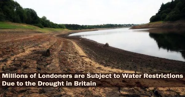 Millions of Londoners are Subject to Water Restrictions Due to the Drought in Britain