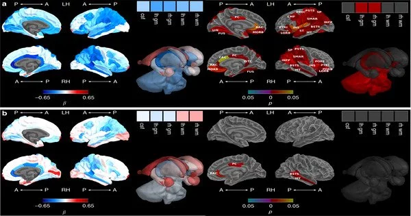 New Set of Postnatal Development-tracking Human Brain Atlases