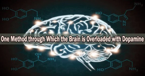 One Method through Which the Brain is Overloaded with Dopamine