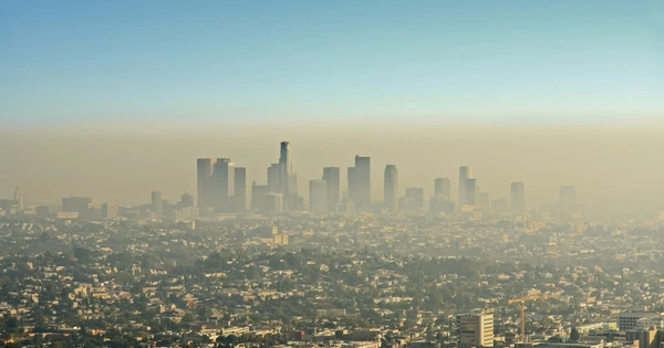 Ozone Pollution