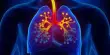 A Possible Long-term Asthma Treatment has been Discovered