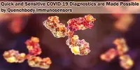 Quick and Sensitive COVID-19 Diagnostics are Made Possible by Quenchbody Immunosensors