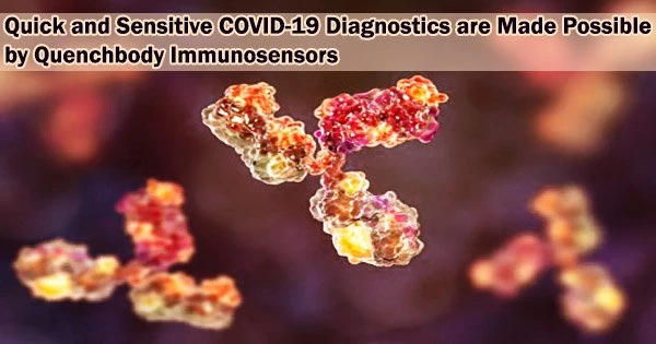 Quick and Sensitive COVID-19 Diagnostics are Made Possible by Quenchbody Immunosensors