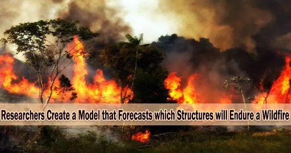 Researchers Create a Model that Forecasts which Structures will Endure a Wildfire