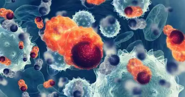 Researchers create a Revolutionary Immunotherapy Platform