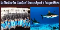 Sea Trials Show That “SharkGuard” Decreases Bycatch of Endangered Sharks
