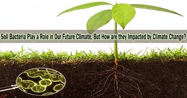 Soil Bacteria Play a Role in Our Future Climate, But How are they Impacted by Climate Change?