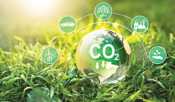 Sharing the burden of carbon dioxide removal