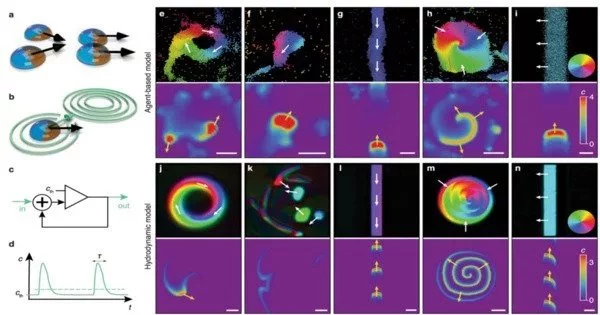 The-Drying-Process-could-be-an-Important-Step-in-the-Evolution-of-Life-1