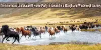 The Enormous Laufskálarétt Horse Party in Iceland is a Rough and Windswept Journey
