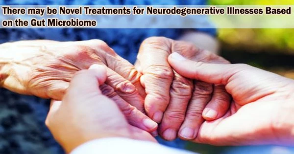 There may be Novel Treatments for Neurodegenerative Illnesses Based on the Gut Microbiome