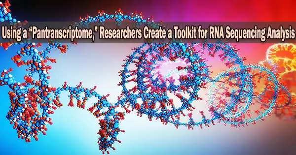 Using a “Pantranscriptome,” Researchers Create a Toolkit for RNA Sequencing Analysis