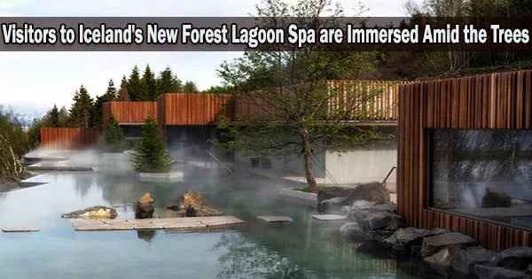 Visitors to Iceland’s New Forest Lagoon Spa are Immersed Amid the Trees