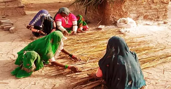 Women-making-matting-for-the-bamboo-shelters
