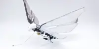 A Fairy-like Robot uses Wind and Light to Fly