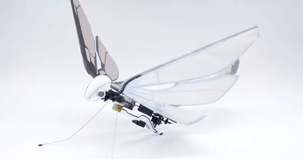 A Fairy-like Robot uses Wind and Light to Fly