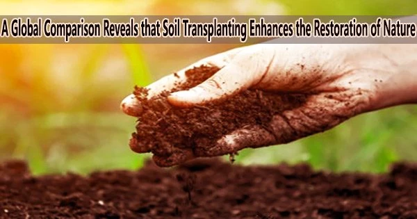 A Global Comparison Reveals that Soil Transplanting Enhances the Restoration of Nature