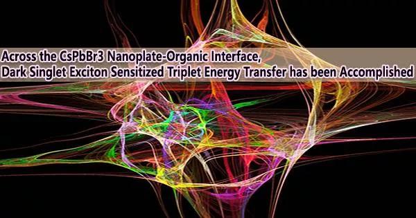 Across the CsPbBr3 Nanoplate-Organic Interface, Dark Singlet Exciton Sensitized Triplet Energy Transfer has been Accomplished
