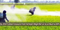 By 2050, Carbon Emissions from Fertilizers Might Be Cut by as Much as 80%