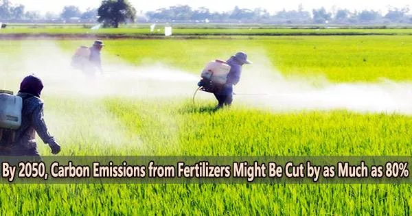 By 2050, Carbon Emissions from Fertilizers Might Be Cut by as Much as 80%