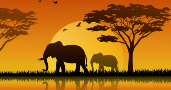 Can Elephants Protect the Environment?