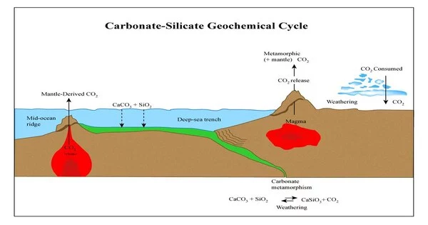Carbonate–silicate Geochemical Cycle