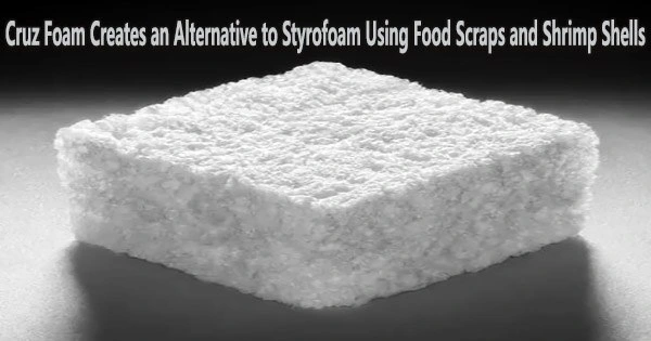 Cruz Foam Creates an Alternative to Styrofoam Using Food Scraps and Shrimp Shells