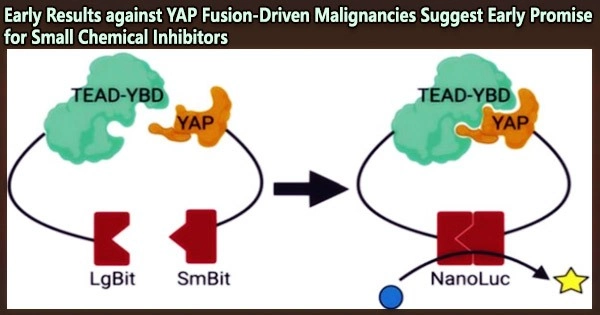 Early Results against YAP Fusion-Driven Malignancies Suggest Early Promise for Small Chemical Inhibitors