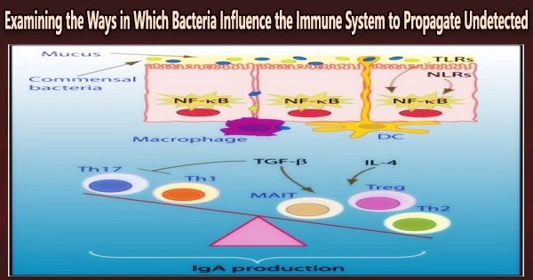 Examining the Ways in Which Bacteria Influence the Immune System to Propagate Undetected