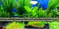 Functions of Freshwater Plants can be Used to Anticipate How Climate Change Would Alter Ecosystem Trends