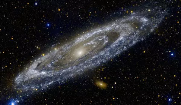 Footprints of galactic immigration uncovered in Andromeda galaxy