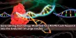 Gene Editing Technology Modified for CRISPR/Cas9 Research into the Evolution of Large Viruses