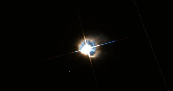 HD 101584 – a main-sequence star