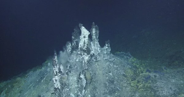 Hydrothermal Vents are the Source of Deep-sea Black Carbon