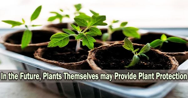 In the Future, Plants Themselves may Provide Plant Protection