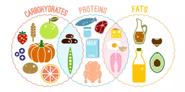 Macronutrients