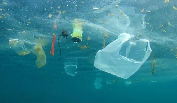 Marine Plastic Pollution