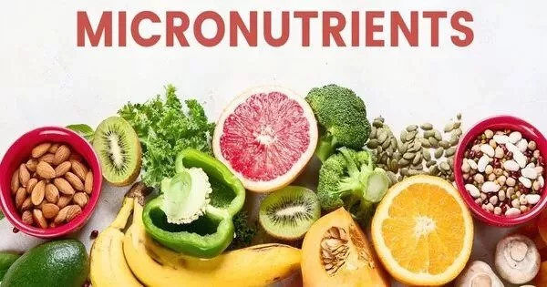 Micronutrients – body required nutrients