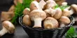 Mushrooms improve Memory by Stimulating Nerve Growth