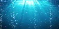Ocean Deoxygenation