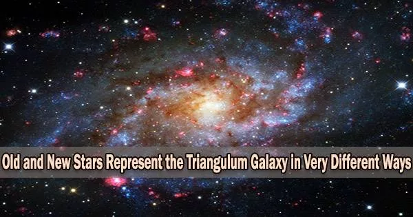 Old and New Stars Represent the Triangulum Galaxy in Very Different Ways
