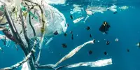 Plastic Debris in the Arctic originates from all over the World