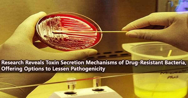 Research Reveals Toxin Secretion Mechanisms of Drug-Resistant Bacteria, Offering Options to Lessen Pathogenicity