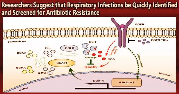 Researchers Suggest that Respiratory Infections be Quickly Identified and Screened for Antibiotic Resistance