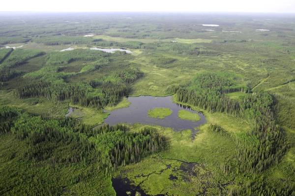Small isolated wetlands are pollution-catching powerhouses