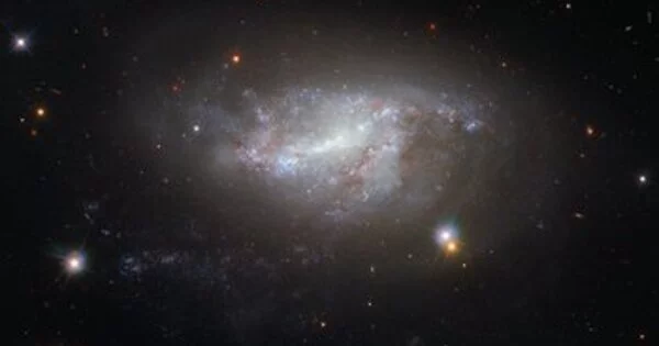 Starry Tail describes the Evolution of a Dwarf Galaxy