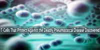 T-Cells That Protect Against the Deadly Pneumococcal Disease Discovered